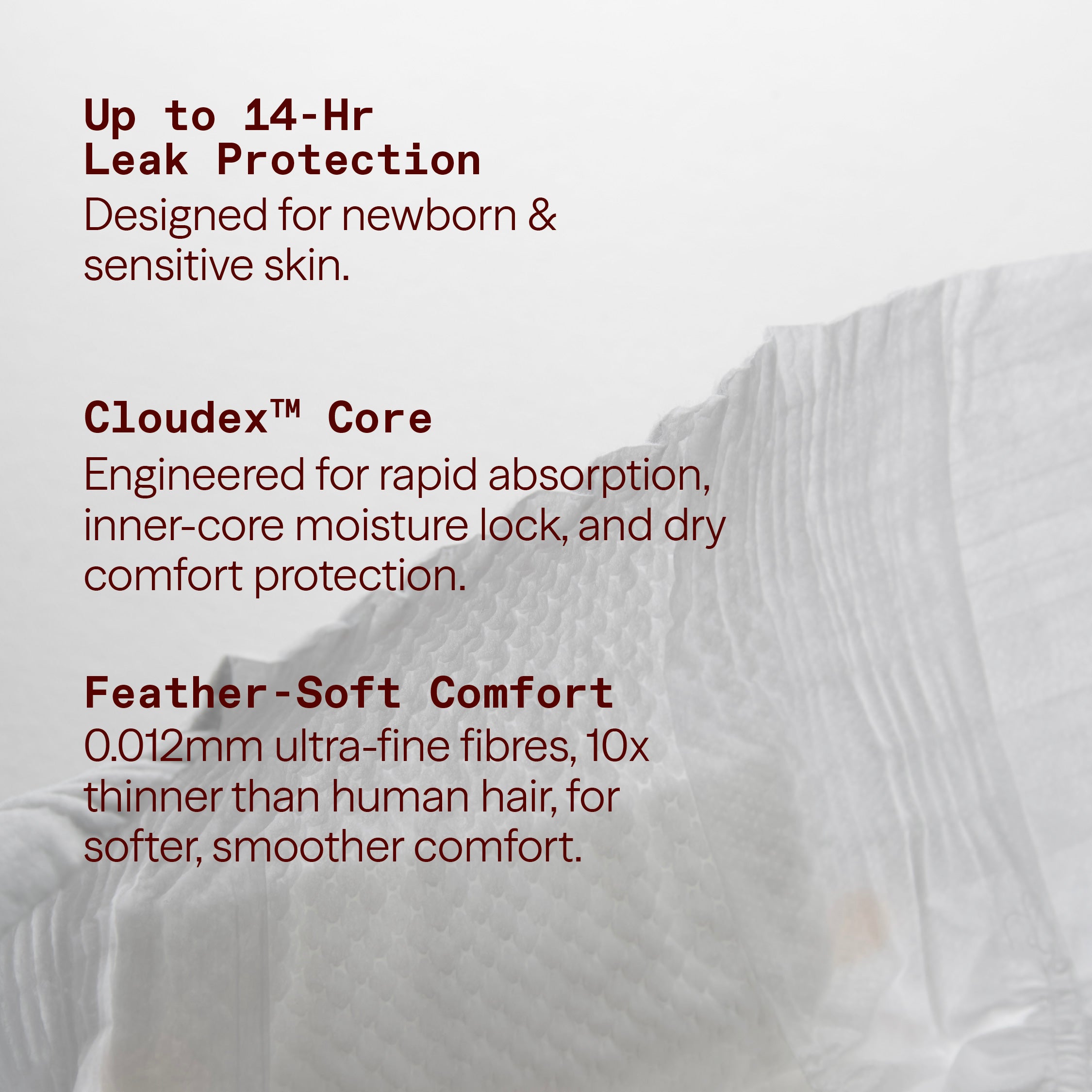 Founder's Edition Bundle