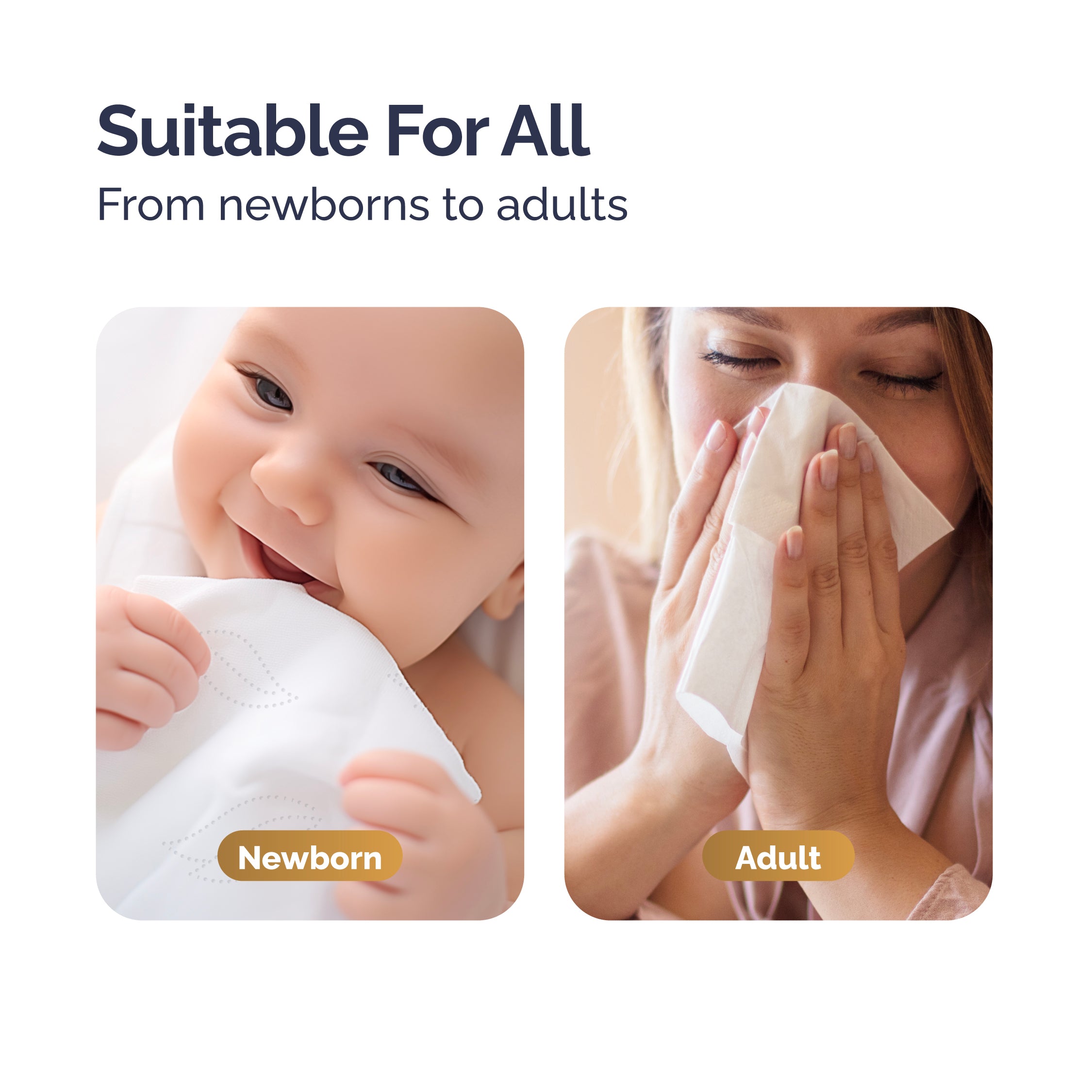 Hoppi RoyalDream Baby Tissue (120 Wipes x 1 Pack)