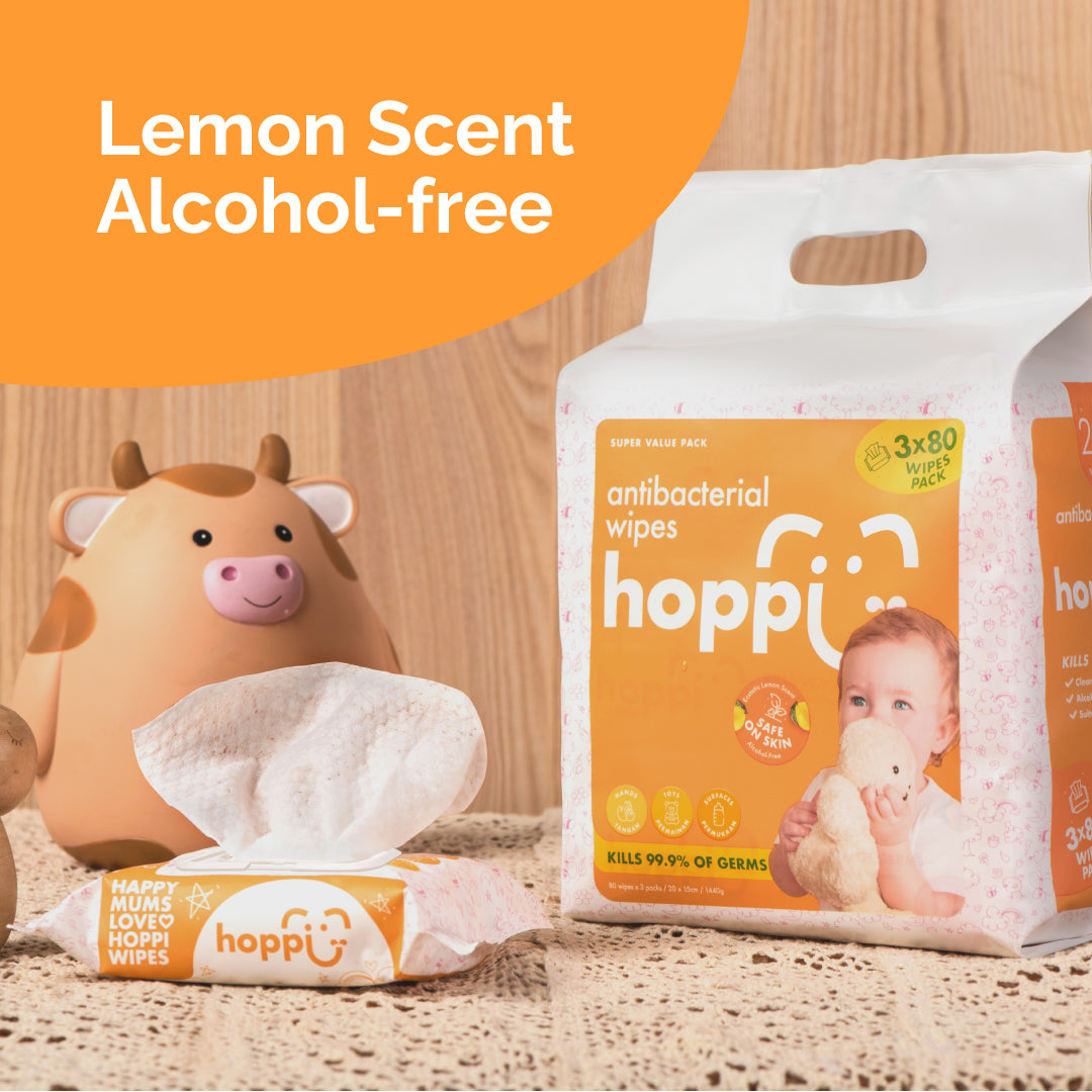 Hoppi Antibacterial Wipes (20 Wipes x 5 Packs)
